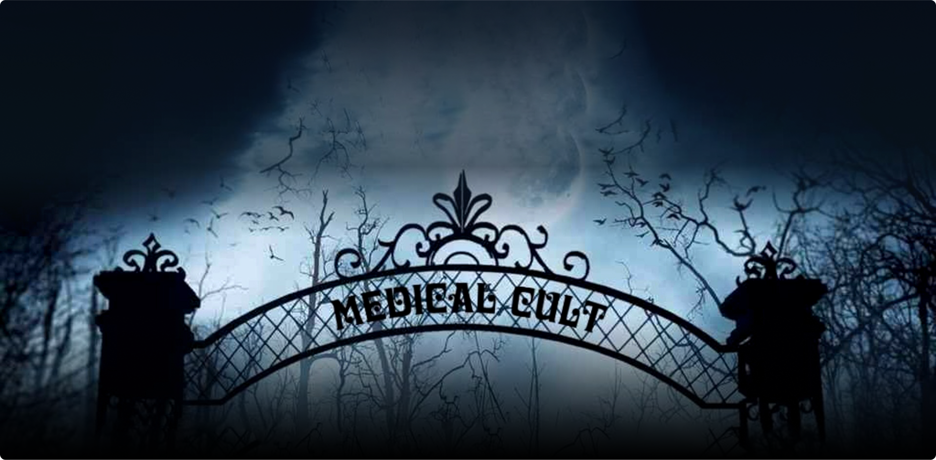 My Life in the Thrill Kill Medical Cult-Summary